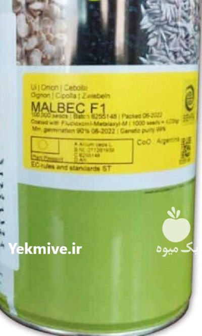 بذر پیاز مالبک در باروق در گروه خرید و فروش بذر پیاز در یکمیوه -عکس1