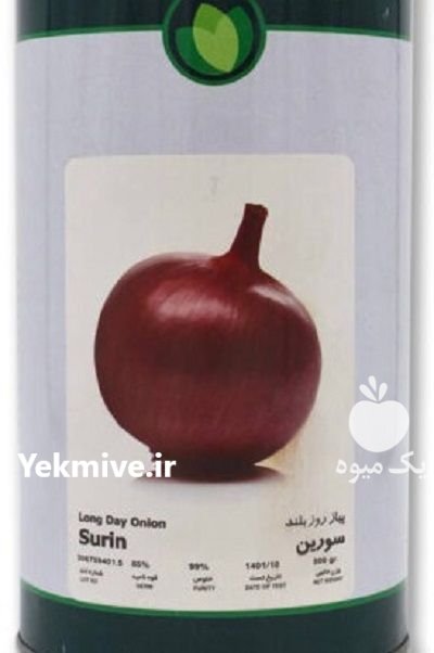 بذر پیاز قرمز سورین فلات در انارستان در گروه خرید و فروش بذر پیاز در یکمیوه -عکس1