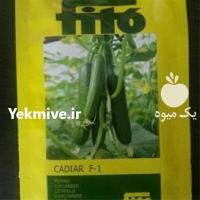 قیمت بذر خیار کادیار در شیراز در گروه خرید و فروش بذر خیار در یکمیوه -عکس2