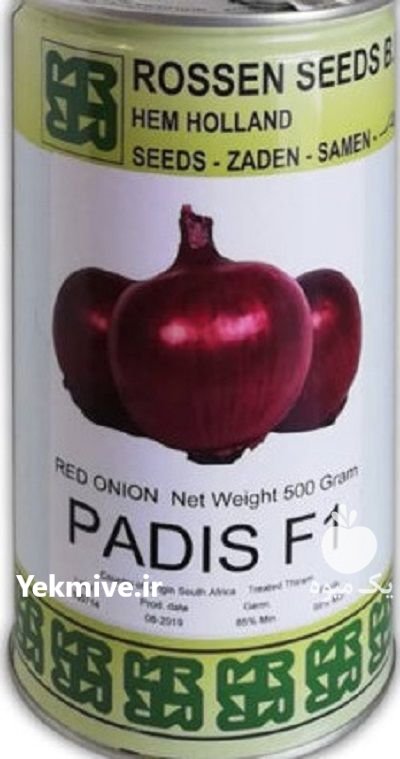 بذر پیاز پادیس در گروه خرید و فروش بذر پیاز در یکمیوه -عکس1