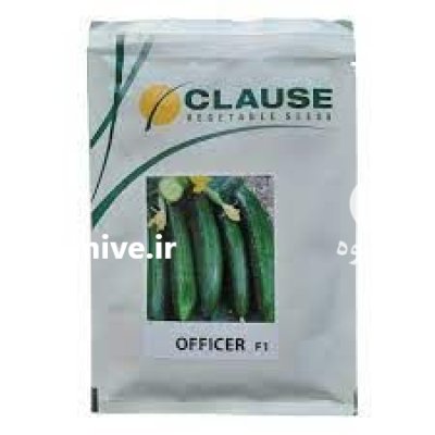 خرید بذر خیار کلوز فرانسه در گروه خرید و فروش بذر خیار در یکمیوه -عکس1