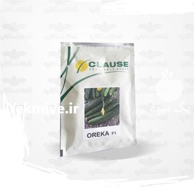 خرید بذر خیار کلوز فرانسه در گروه خرید و فروش بذر خیار در یکمیوه -عکس2