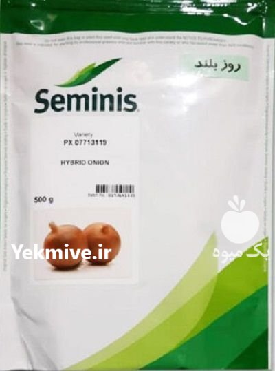 بذر پیاز زرد 3119 سمینیس در آواجیق در گروه خرید و فروش بذر پیاز در یکمیوه -عکس1