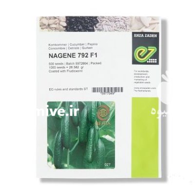 قیمت بذر خیار نگین گلخانه ای در همدان در گروه خرید و فروش بذر خیار در یکمیوه -عکس1
