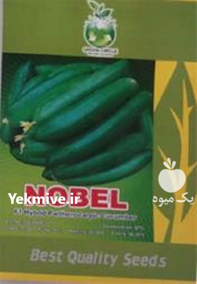 قیمت بذر خیار نوبل در اراک در گروه خرید و فروش بذر خیار در یکمیوه -عکس1