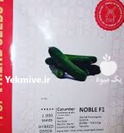 قیمت بذر خیار نوبل در اراک در گروه خرید و فروش بذر خیار در یکمیوه -عکس2
