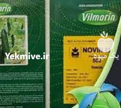 قیمت بذر خیار گلخانه ای نوین در شهرکرد در گروه خرید و فروش بذر خیار در یکمیوه -عکس3