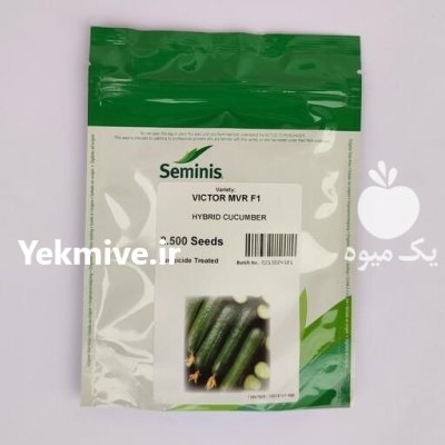 قیمت بذر خیار ویکتور در اردبیل در گروه خرید و فروش بذر خیار در یکمیوه -عکس3