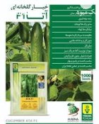فروش بذر خیار گلخانه ای آتا در بیرجند در گروه خرید و فروش بذر خیار در یکمیوه
