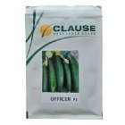 قیمت بذر خیار افیسر در گروه خرید و فروش بذر خیار در یکمیوه