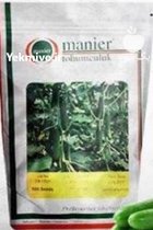 قیمت بذر خیار MRC 07 بذر خیار در زنجان در گروه خرید و فروش بذر خیار در یکمیوه