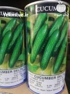 قیمت بذر خیار دلتا در خرم آباد در گروه خرید و فروش بذر خیار در یکمیوه