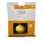 بذر پیاز ریو براوو در ارکواز در گروه خرید و فروش بذر پیاز در یکمیوه