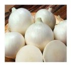 بذر پیاز سفید سپیدان فلات در آبدانان در گروه خرید و فروش بذر پیاز در یکمیوه