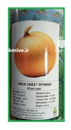 بذر پیاز سوئیت اسپنیش در اسیر در گروه خرید و فروش بذر پیاز در یکمیوه