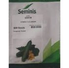 قیمت بذر خیار گلخانه ای شاهین در شهرکرد در گروه خرید و فروش بذر خیار در یکمیوه