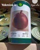 بذر پیاز میگون فلات در آب بر در گروه خرید و فروش بذر پیاز در یکمیوه