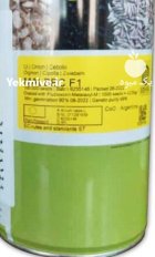 بذر پیاز مالبک در باروق در گروه خرید و فروش بذر پیاز در یکمیوه