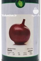 بذر پیاز قرمز سورین فلات در انارستان در گروه خرید و فروش بذر پیاز در یکمیوه