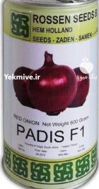 بذر پیاز پادیس در گروه خرید و فروش بذر پیاز در یکمیوه