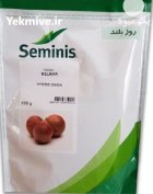 بذر پیاز بلمار در گروه خرید و فروش بذر پیاز در یکمیوه