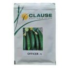 خرید بذر خیار کلوز فرانسه در گروه خرید و فروش بذر خیار در یکمیوه