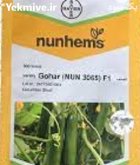 فروش بذر خیار پرگل گوهر در گروه خرید و فروش بذر خیار در یکمیوه