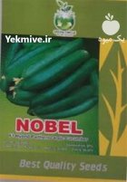 قیمت بذر خیار نوبل در اراک در گروه خرید و فروش بذر خیار در یکمیوه