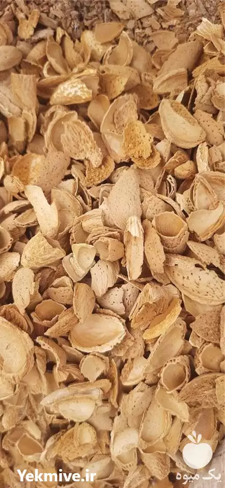 فروش پوست چوبی بادام درختی در نجف آباد در گروه خرید و فروش بادام در یکمیوه -عکس1