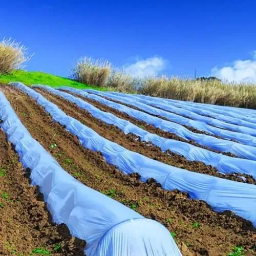 فوم های جلوگیری از سرمازدگی محصولات در گرگان در گروه خرید و فروش اتصالات و تجهیزات آبیاری در یکمیوه -عکس1