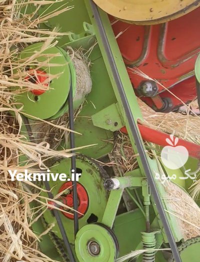 فروش کمباین سهند کاهکوب در گروه خرید و فروش کمباین سهند در یکمیوه -عکس1