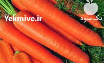 بذر هویج پوپ هلند در ارومیه در گروه خرید و فروش بذر هویج در یکمیوه -عکس1