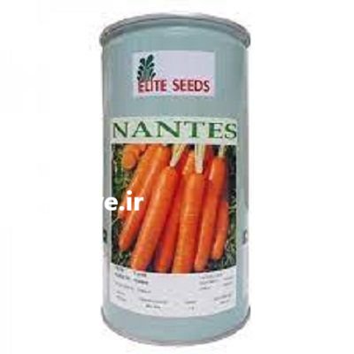 بذر هویج نانتس سوبا در کرمان در گروه خرید و فروش بذر هویج در یکمیوه -عکس1