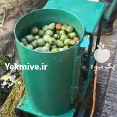 تولید فروش انواع دستگاه پوست کن در تهران در گروه خرید و فروش دستگاه کشاورزی در یکمیوه -عکس2