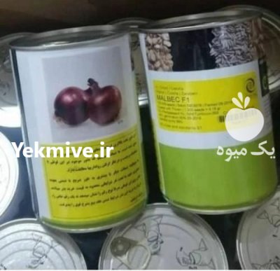 بذر پیاز قرمز مالبک در یاسوج در گروه خرید و فروش بذر پیاز در یکمیوه -عکس1