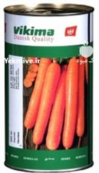 فروش بذر هویج نانتس ویکمیا در گروه خرید و فروش بذر هویج در یکمیوه