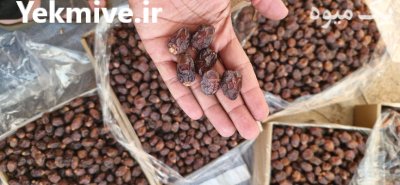 قیمت خرمای خاصویی در ساری در گروه خرید و فروش خرما در یکمیوه -عکس1