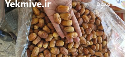 قیمت خرمای خاصویی در ساری در گروه خرید و فروش خرما در یکمیوه -عکس3
