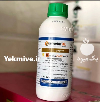 قارچ کش سم ماکسیم در پیرانشهر در گروه خرید و فروش انواع سم در یکمیوه -عکس1
