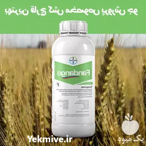 فروش • سم قارچ کش فاندانگو در تهران در گروه خرید و فروش انواع سم در یکمیوه -عکس1