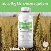 فروش • سم قارچ کش فاندانگو در تهران در گروه خرید و فروش انواع سم در یکمیوه