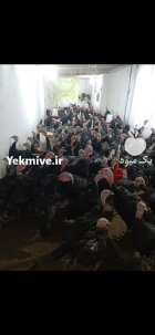 فروش بوقلمون برنز 6 ماهه 200 در گروه مرغ و خروس و بوقلمون و اردک قو قاز در یکمیوه