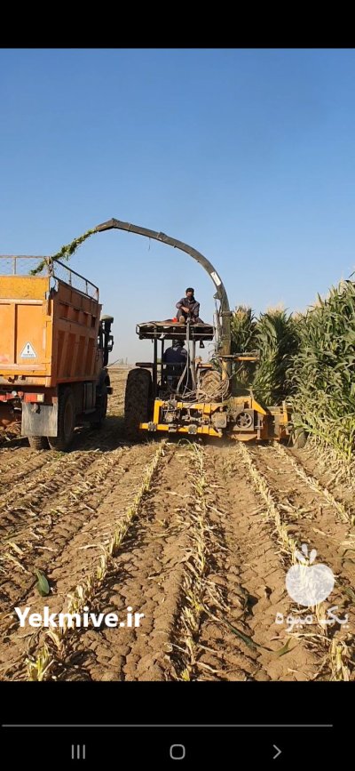 چاپر خورشیدی در همدان در گروه خرید و فروش چاپر در یکمیوه -عکس2