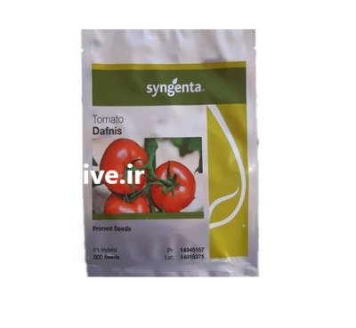 فروش بذر گوجه دافنیس سینجنتا سوئیس در گروه خرید و فروش بذر گوجه در یکمیوه -عکس1