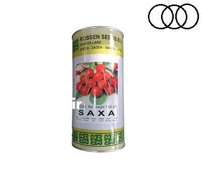 فروش بذر تربچه هلندی بذر تربچه در کرمان  در گروه خرید و فروش بذر صیفی جات در یکمیوه -عکس1