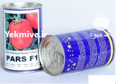 فروش بذر گوجه فرنگی پارس بذر در کرمان  در گروه خرید و فروش بذر گوجه در یکمیوه -عکس1