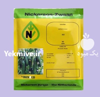 فروش بذر خیار زمستانه نیکرسون بذر در کرمان  در گروه خرید و فروش بذر خیار در یکمیوه -عکس1