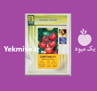 فروش بذر گوجه فرنگی کاپیتان ترکیه در کرمان  در گروه خرید و فروش بذر گوجه در یکمیوه -عکس1