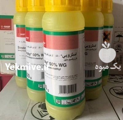 فروش سم قارچ کش استروبی BASF در کرمان  در گروه خرید و فروش انواع سم در یکمیوه -عکس1