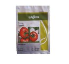 فروش بذر گوجه دافنیس سینجنتا سوئیس در گروه خرید و فروش بذر گوجه در یکمیوه